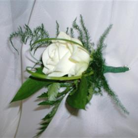 fwthumbCNV00009 (4).jpg